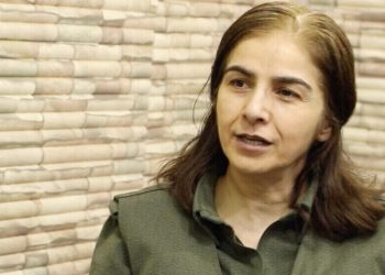 Çîgdem Dogû: Divê em bi rengê Zîlan giraniyê bidin pêngava Rêbertî