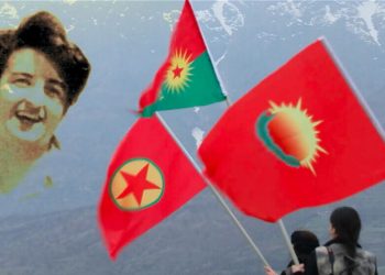 Çalakiyên silavkirina Roja Fedaîtiyê: 4 dagirker hatin cezakirin