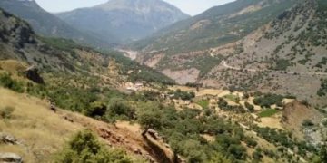 Li Bedlîs û Sêrtê operasyona dagirkeriyê: Daristan tên bombebarankirin