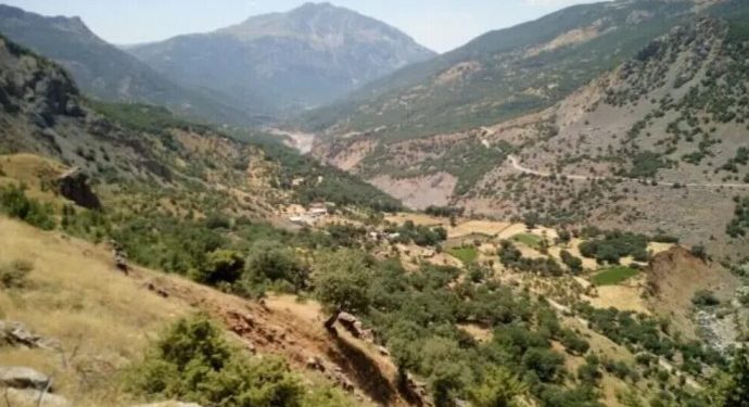 Li Bedlîs û Sêrtê operasyona dagirkeriyê: Daristan tên bombebarankirin