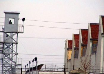 Çalakiya girtiyan a ‘Ji Rêber APO re azadî’ didome