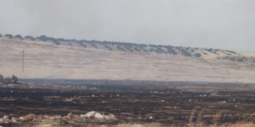 Dewleta Tirk çandiniya li 2 hezar hektaran û 19 hezar dar şewitandin