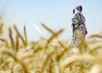 Komîteya Ekolojiyê ya KCK’ê: Divê em li dijî qirkirina ekolojîk rawestin