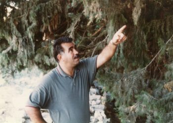 Ji bo azadiya Rêber APO dê 7 çalakî li dar bikevin