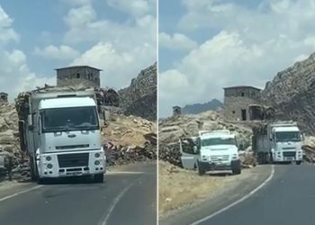 Cerdevan li Xabur 2’yê daran dibirin