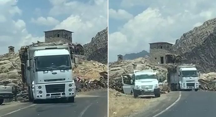 Cerdevan li Xabur 2’yê daran dibirin