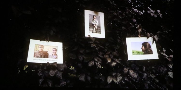 Şehîd Vejîn Jiyan li Şehbayê hate bibîranîn