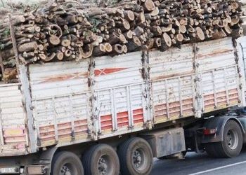 Dewleta Dagirker li şûna darên ku dibire qereqolan ava dike