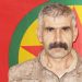 Fermandarê HPG: MÎT li hemû saziyan bi cih bûye