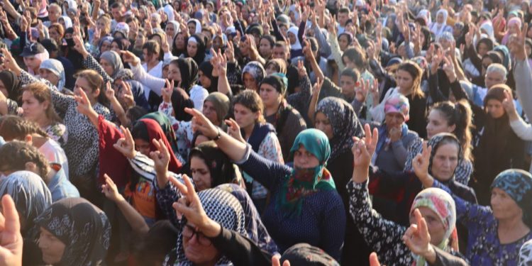 Şehîd Çekdar Kobanê li Şehbayê hat veşartin