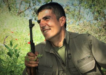 Baran Mawa, Şopdarê Ali Çiçek û Çiyageran