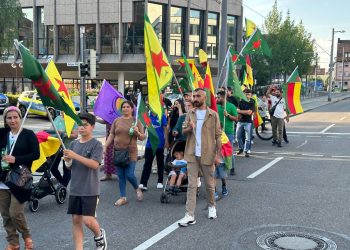 Li Almanya Dagirkeriya Tirk û İxaneta PDK hate protesto kirin