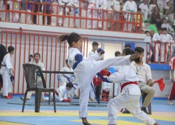 Li Qamişlo turnoveyekî karate