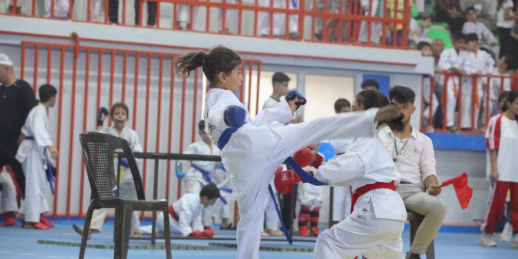 Li Qamişlo turnoveyekî karate