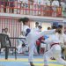 Li Qamişlo turnoveyekî karate