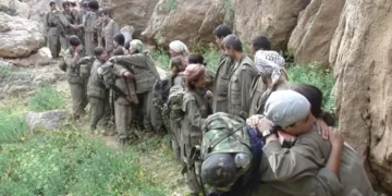 Nasnameya Ciwantî Di Gerîla de Şember Dibe