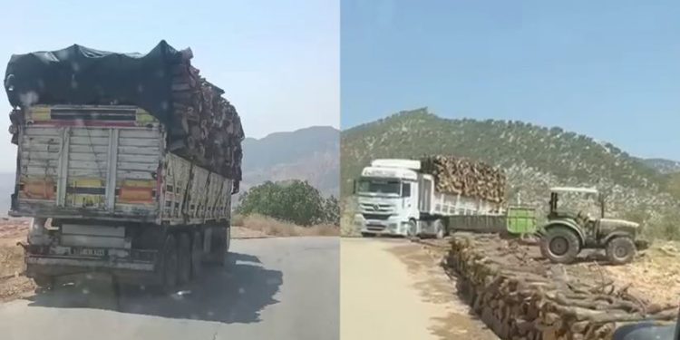 Dîmenên nû yên Qetlîama li Gabar’ê