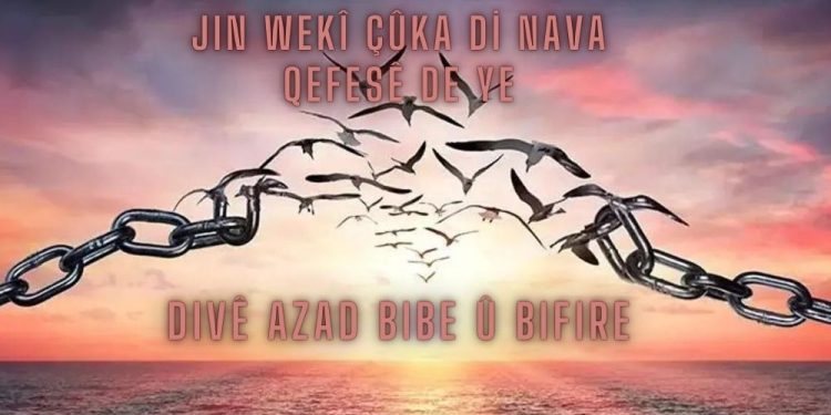 Jin kevoka di hindurê ‘qefesê’ de ye, divê azad bibe û bifire