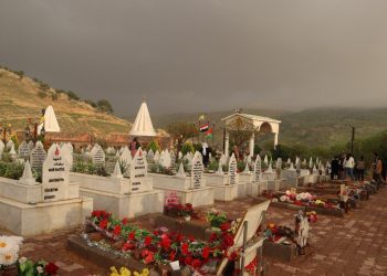 Ji Ciwanên Enternasyonalist Daxuyaniya Fermana Şengal’ê