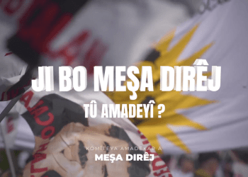 “Hûn Ji Meşa Dirêj Re Amade Ne?”