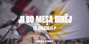 “Hûn Ji Meşa Dirêj Re Amade Ne?”