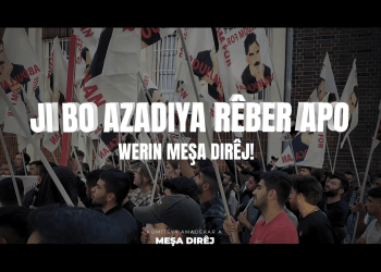 “Em Di Meşa Dirêj de Werin Cem Hev”