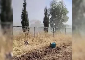 LEZGÎN- Ciwan wesayîtên Rûs-Tirkan sekinandin