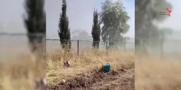 LEZGÎN- Ciwan wesayîtên Rûs-Tirkan sekinandin