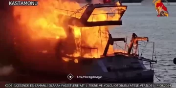 Kurd Tolê Radikin: Ji Zarokên Agir 4 Çalakiyên Cuda