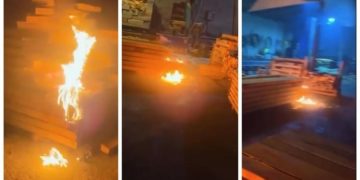 Ciwanên Laz tola xwe radikin