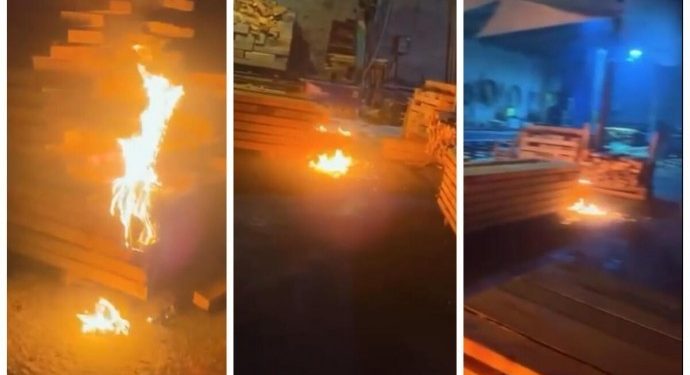 Ciwanên Laz tola xwe radikin