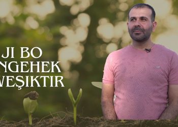 Ehmed Elî: Kapîtalîzm Jîngeha Me Jehrî Dike