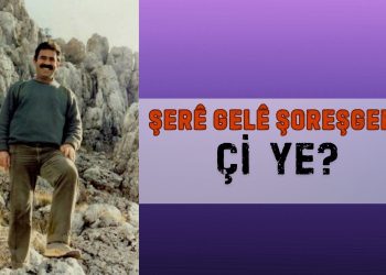 ŞERÊ GEL Ê ŞOREŞGERÎ ÇI YE?