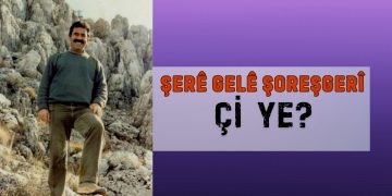 ŞERÊ GEL Ê ŞOREŞGERÎ ÇI YE?