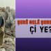 ŞERÊ GEL Ê ŞOREŞGERÎ ÇI YE?