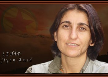 “Nûjiyan Amed tekoşînekî bênavber meşand û gihîşt şehadetê”