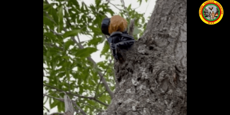 MAK bi çalakiya xwe ve Hebûn Pîro û Botan Osyan bibîranî