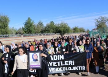 Li Amedê ji bo Rojîn Kabaîş meş hat lidarxistin