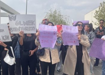 Xwendekar ji bo Rojîn Kabaîş meşiyan