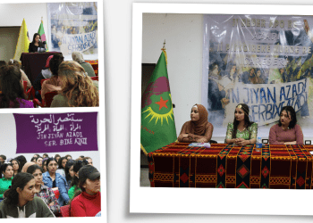 Li Qamışlo, Jinên Ciwan ji bo Rêber APO konferans lidardixin