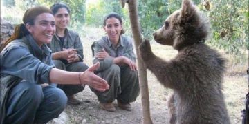 Hevpeymana hirçan û gerîlayan