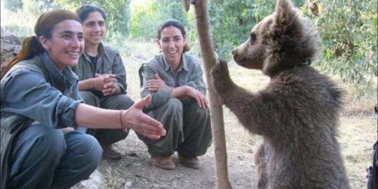 Hevpeymana hirçan û gerîlayan