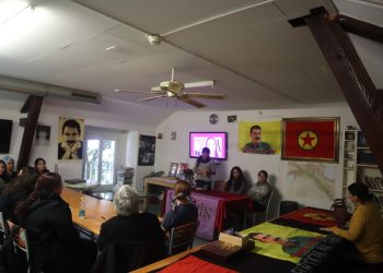 ji endamên TekoJIN û Jineoloji Ciwan, Komxebata “Dayik û Jinên Ciwan”