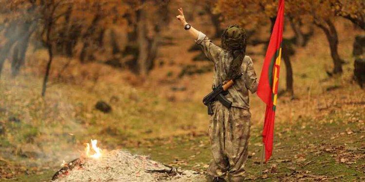 Li Zap û Metînayê 3 dagirker hatin cezakirin