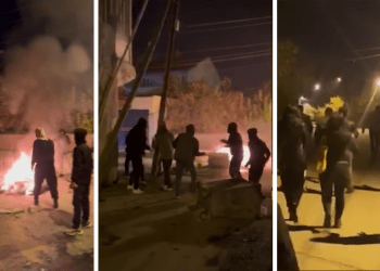 Ciwanên Wanê berxwedana gel ya li dijî dagirkerîya qeyuman silav kir