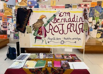 Li Zanîngeha Goethe standa alîkariyê ya ji bo Rojava