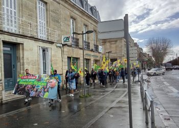 Meşa Ciwanan a Bordeaux