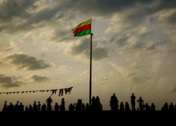 Ronî Med: Tirsa herî mezin a faşîzmê Rojavayê azad e