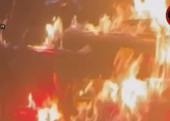 MJAR li dijî wesayîta rojnamegerên faşîst çalakî li darxist!