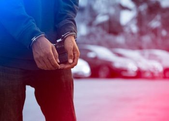 Li Wanê 2 ciwanên DEM’ê hatin binçavkirin